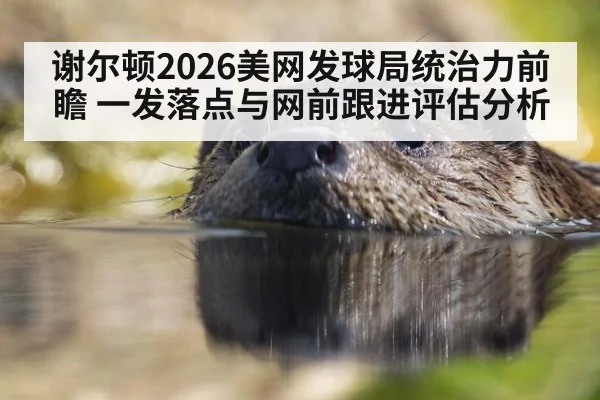谢尔顿2026美网发球局统治力前瞻 一发落点与网前跟进评估分析