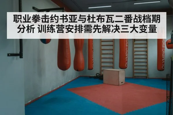 职业拳击约书亚与杜布瓦二番战档期分析 训练营安排需先解决三大变量